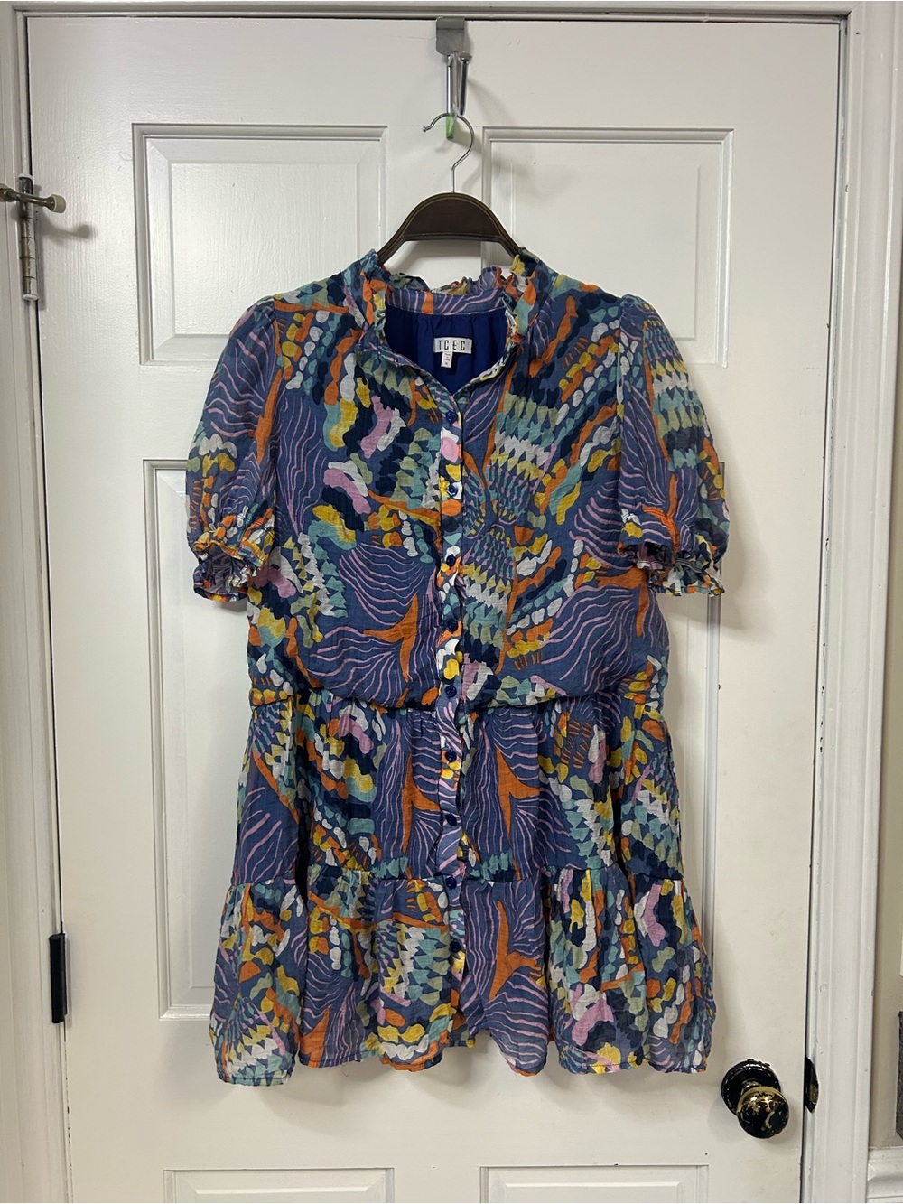 TCEC Blue Multicolor Printed Dress